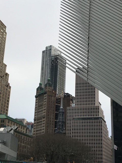IMG 1736