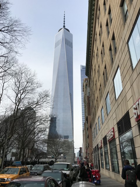 IMG 1779