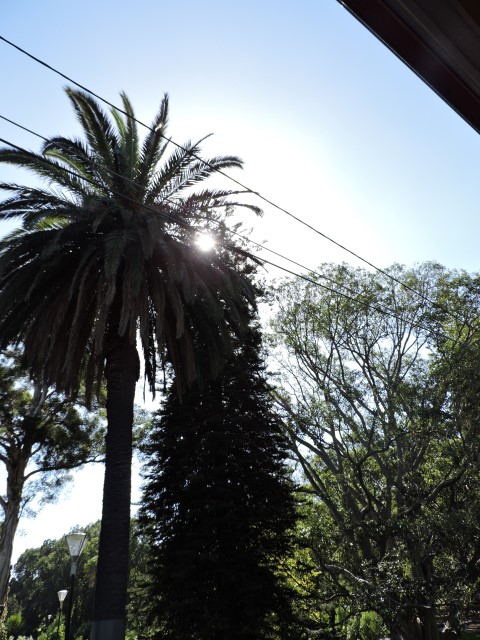 DSCN2161