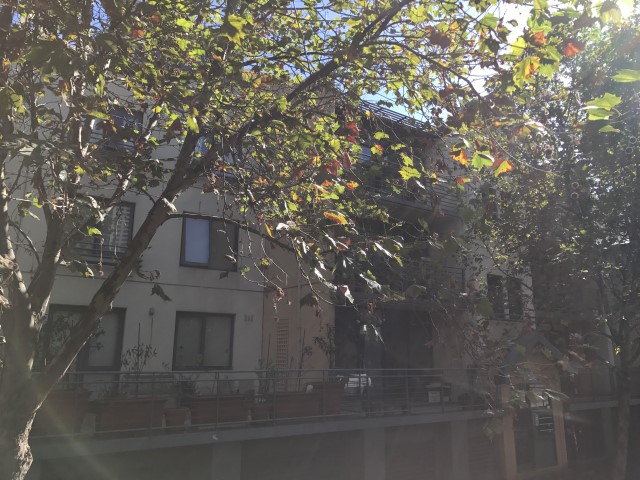 IMG 2379