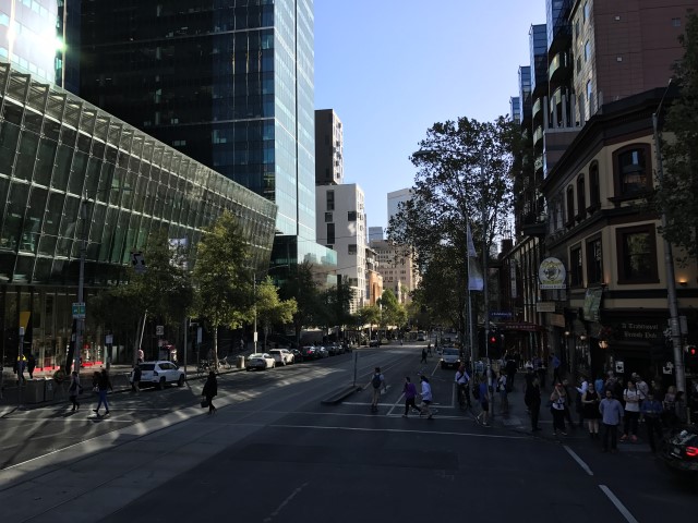 IMG 2542