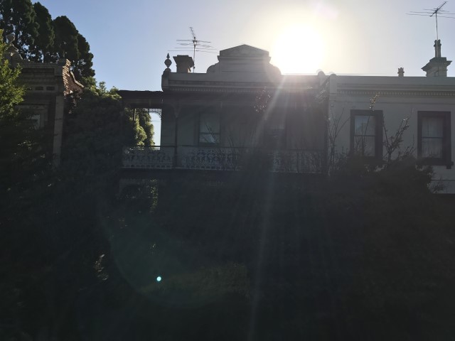 IMG 2555