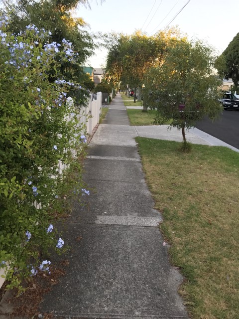 IMG 2558