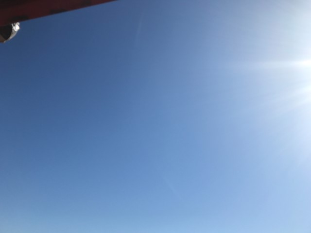 IMG 2600