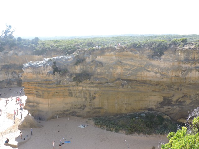 DSCN2394