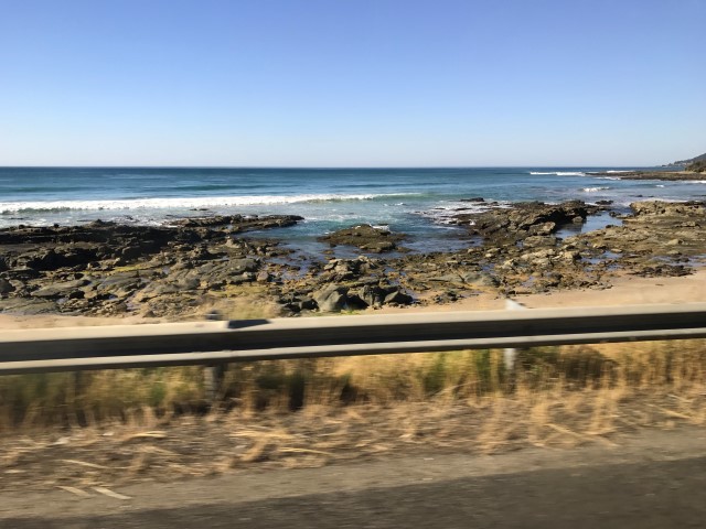 IMG 2718