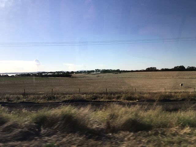 IMG 2804