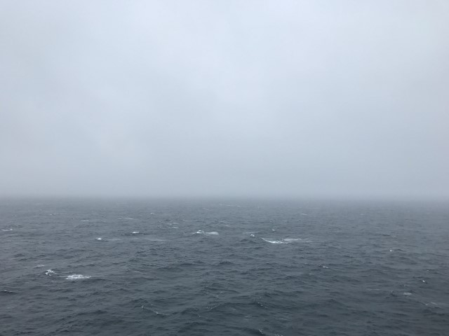 IMG 3865