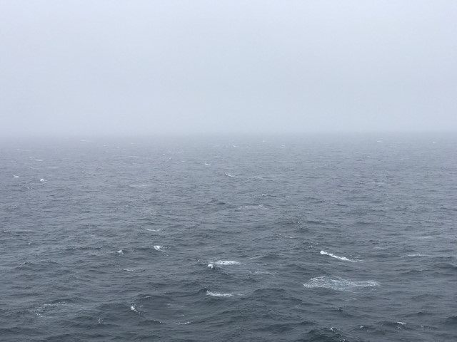 IMG 3867