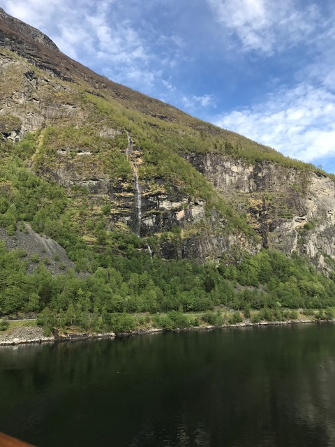 IMG 4566