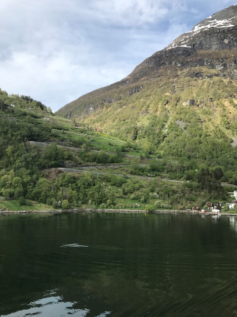 IMG 4572