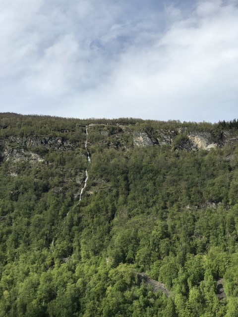 IMG 4580