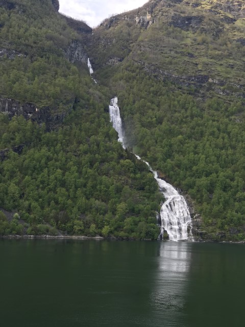 IMG 4590