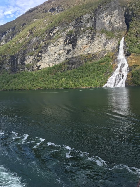 IMG 4601