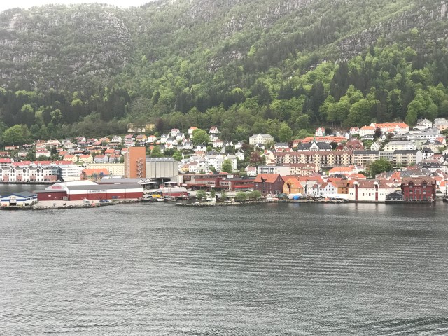 IMG 4785