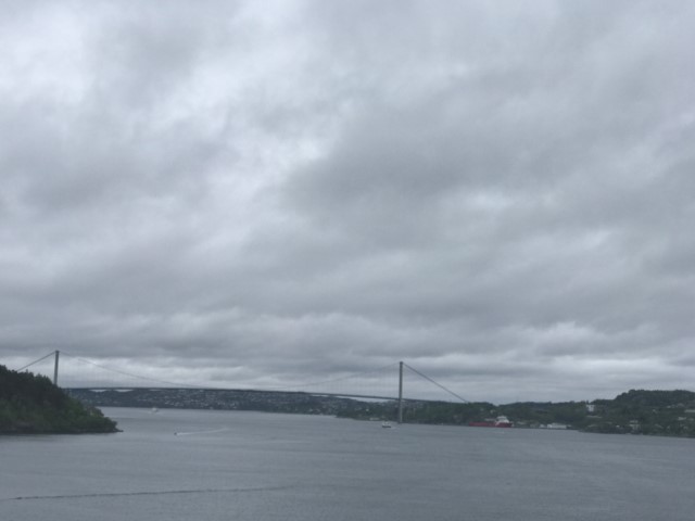 IMG 4818