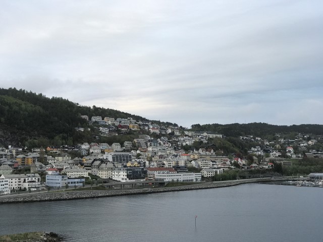 IMG 4237