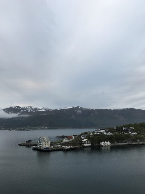 IMG 4238