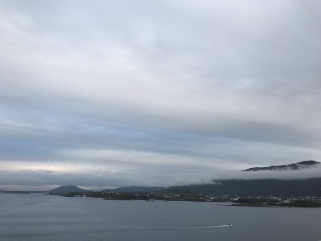 IMG 4256