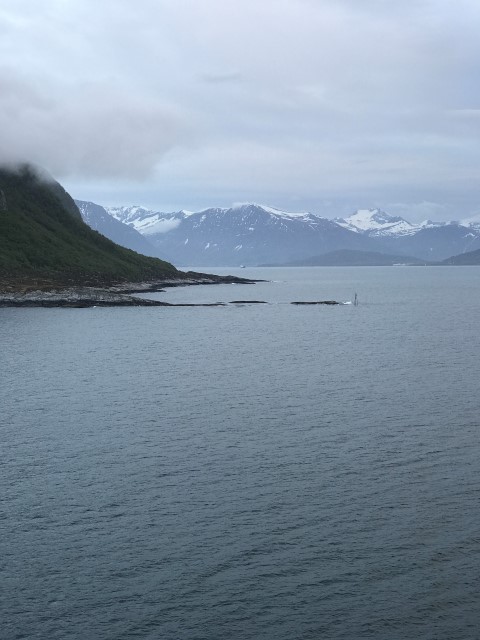 IMG 4343
