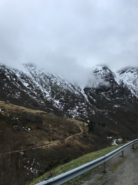 IMG 3967