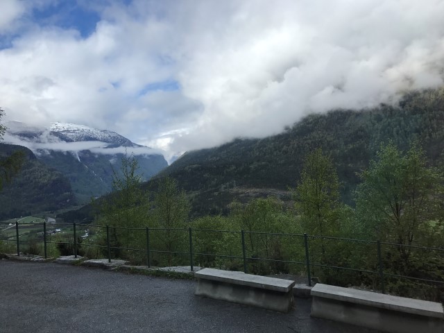 IMG 3986
