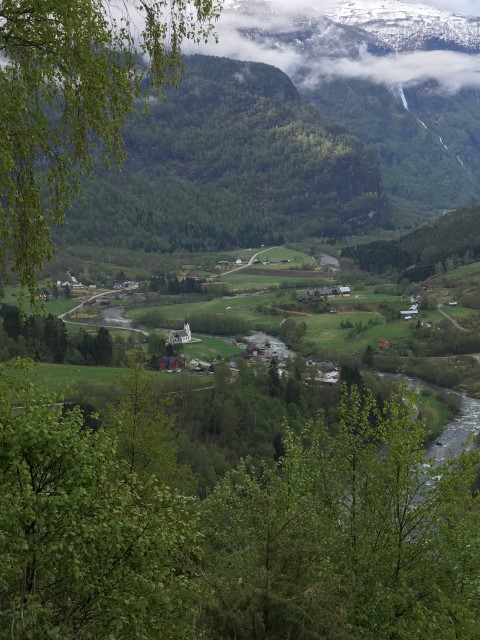 IMG 3992