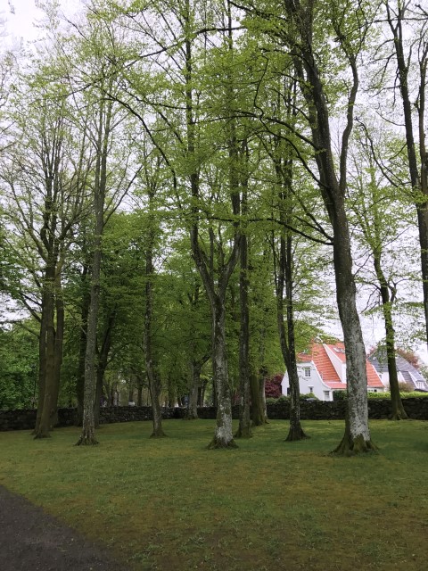 IMG 3766