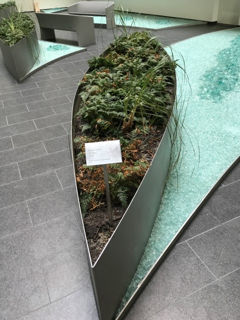 IMG 5933