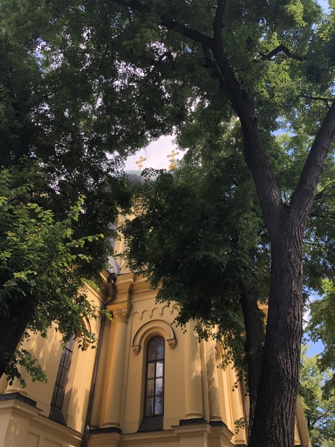 20180524 092227728 iOS