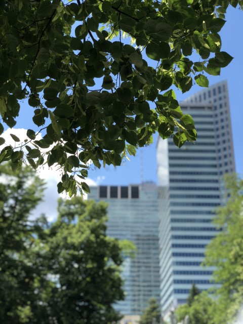 20180524 112602270 iOS