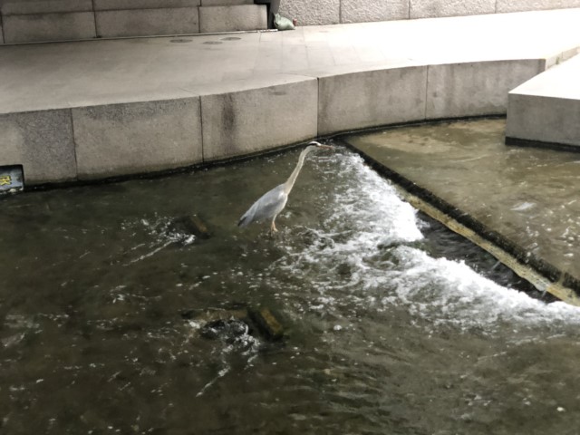 20180604 100254281 iOS