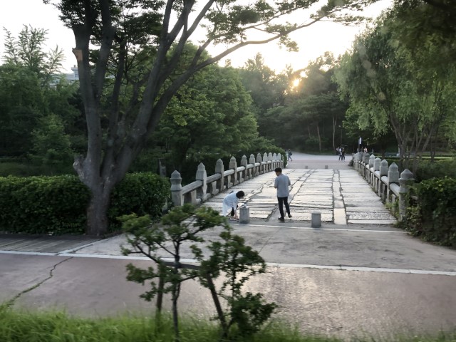 20180606 095350782 iOS