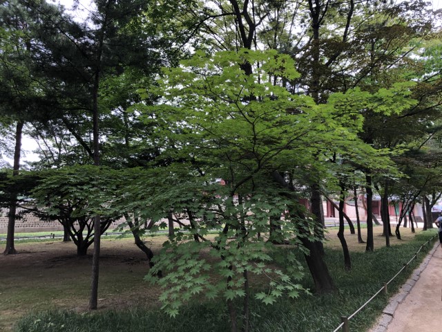 20180613 032459785 iOS