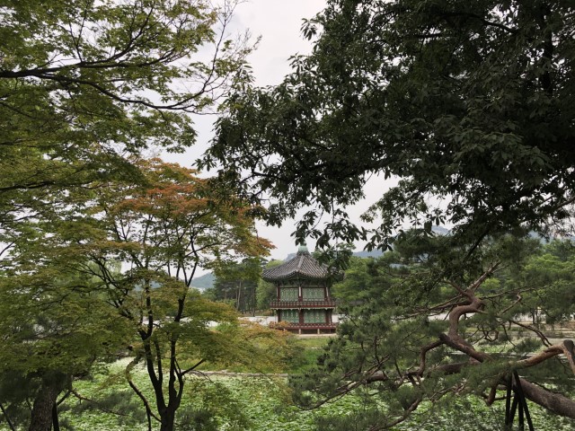 20180609 072841643 iOS