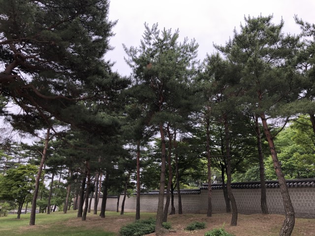 20180609 080335475 iOS