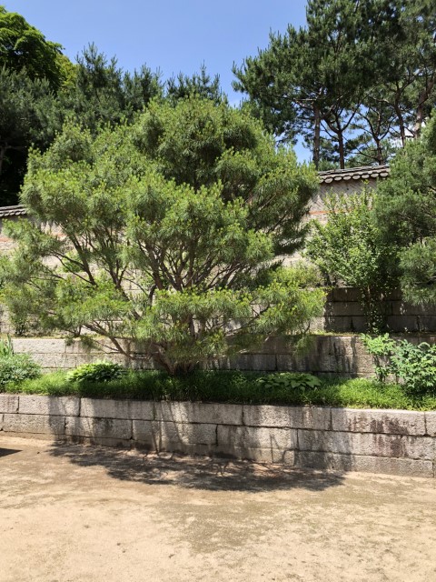 20180615 042520517 iOS