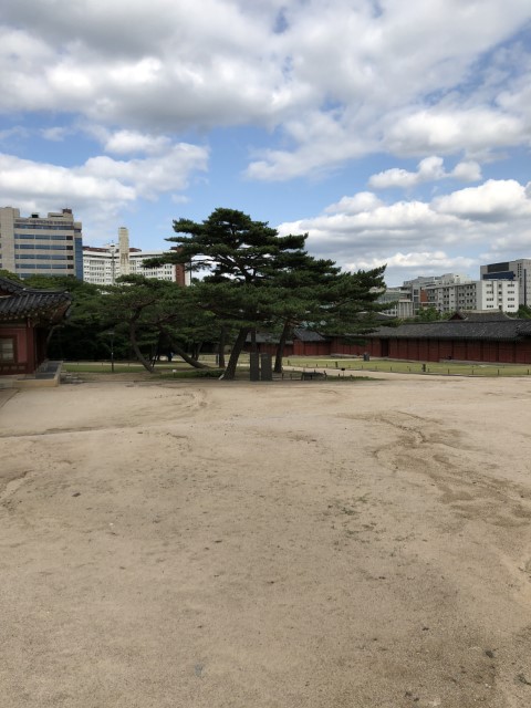 20180615 073709842 iOS