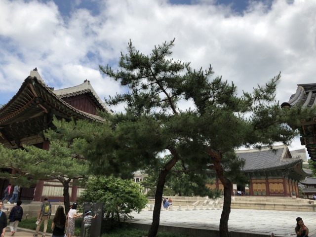 20180612 022315198 iOS
