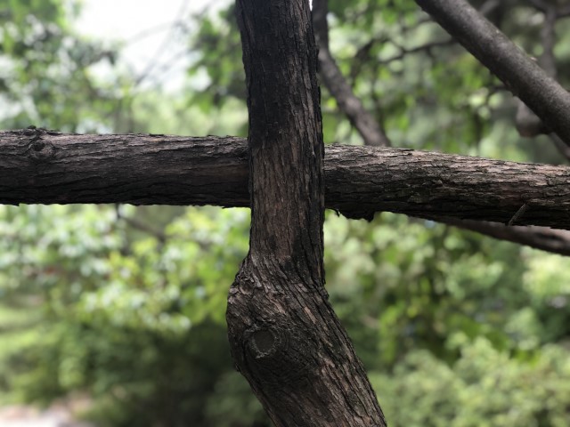 20180612 030955290 iOS