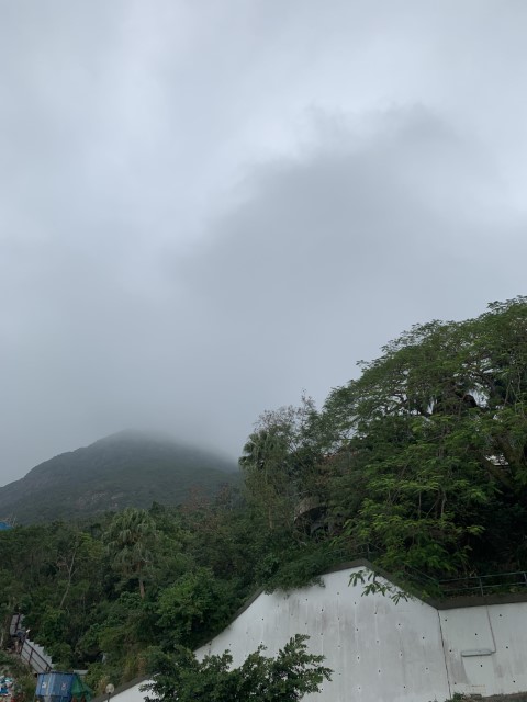 20181117 030135344 iOS