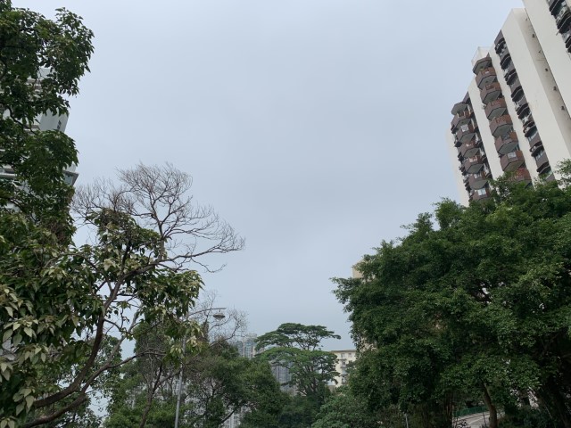 20181117 030512434 iOS