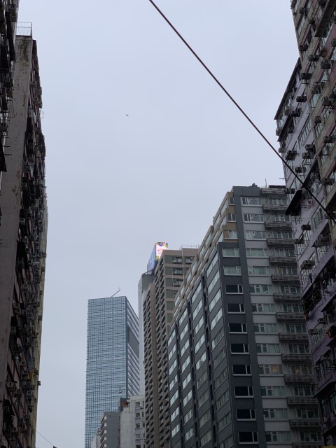 20181117 034435465 iOS