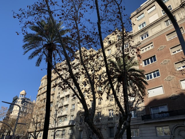 20190214 085412686 iOS