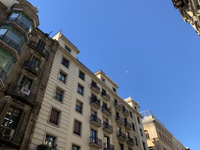20190214 102725732 iOS