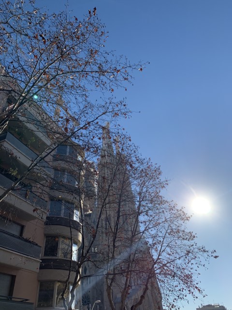 20190215 091211458 iOS