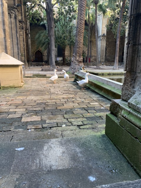 20190213 160230473 iOS