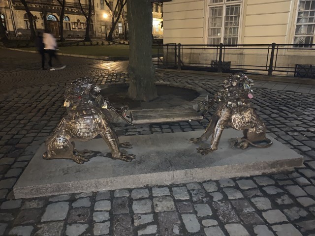 20190311 183626433 iOS