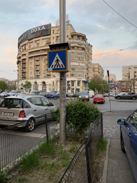 IMG 1528