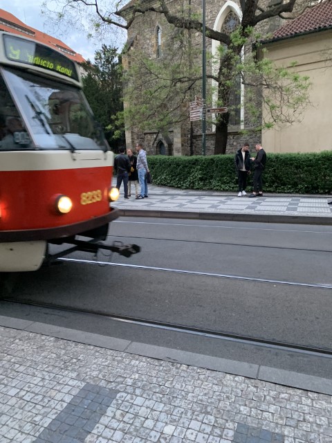 IMG 2077